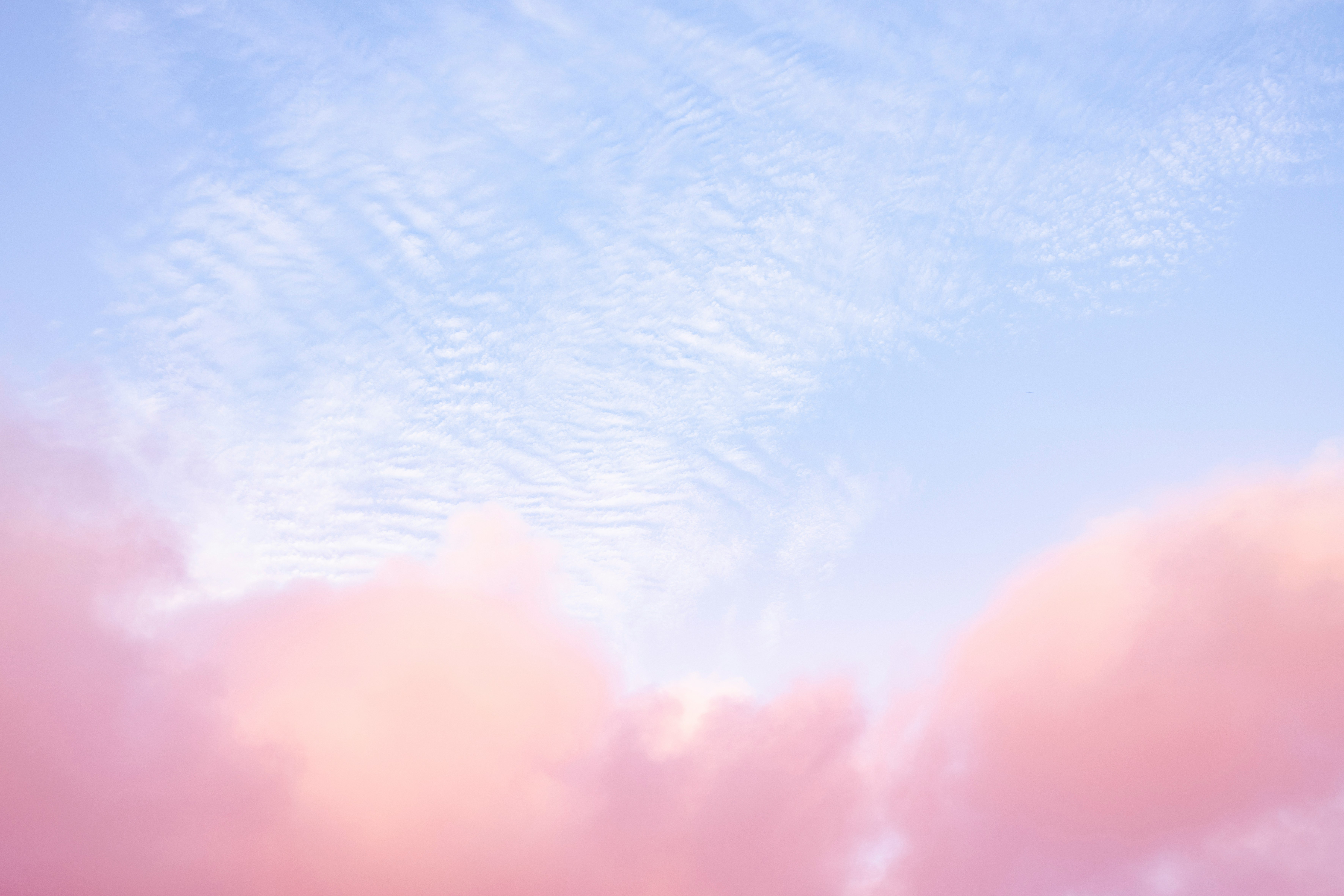 Cloud Garden